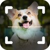 影猫app